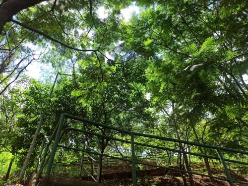 Parque das Nações