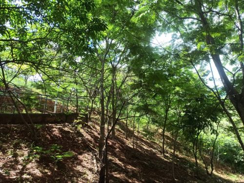 Parque das Nações