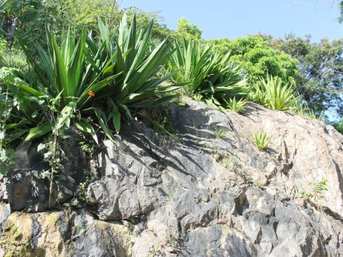 Parque Ecológico Pedro Machado