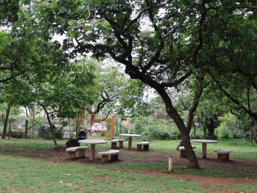 Parque Municipal Coqueiros 