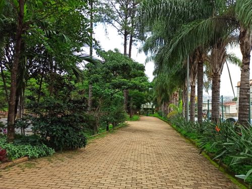 Parque Jacques Cousteau 