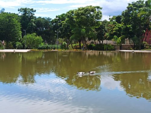 Parque Nossa Senhora da Piedade