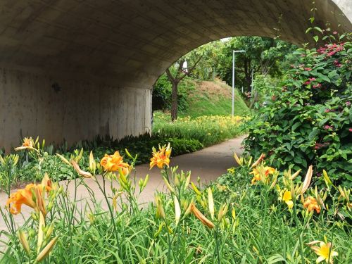 Parque Nossa Senhora da Piedade