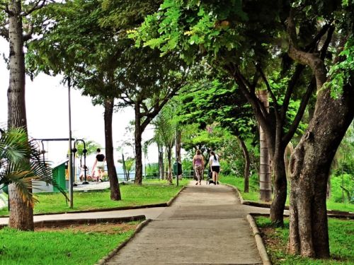 Parque Orlando de Carvalho Silveira