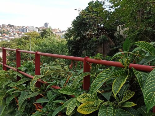 Parque da Vila Santa Sofia