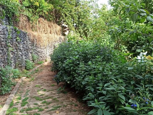 Parque da Vila Santa Sofia
