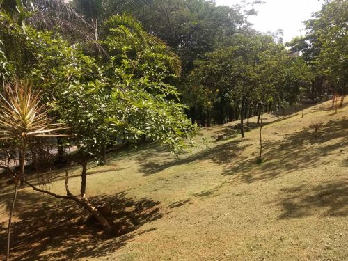 Parque Bandeirante Silva Ortiz