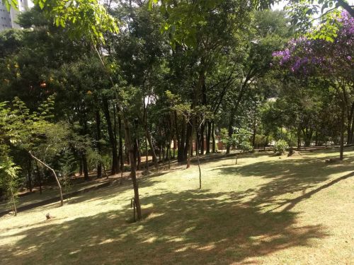 Parque Bandeirante Silva Ortiz