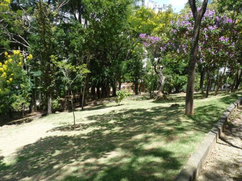 Parque Bandeirante Silva Ortiz