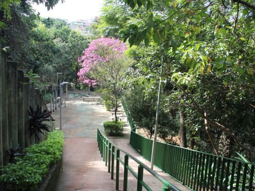 Parque José Lopes dos Reis (Baleares)
