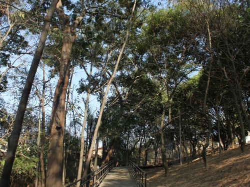 Parque do Bairro Jardim Leblon