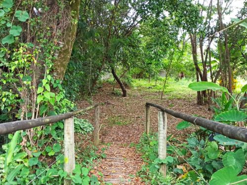 Parque Ecológico do Brejinho