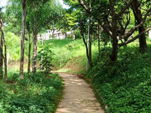 Parque Ecológico Vencesli Firmino da Silva