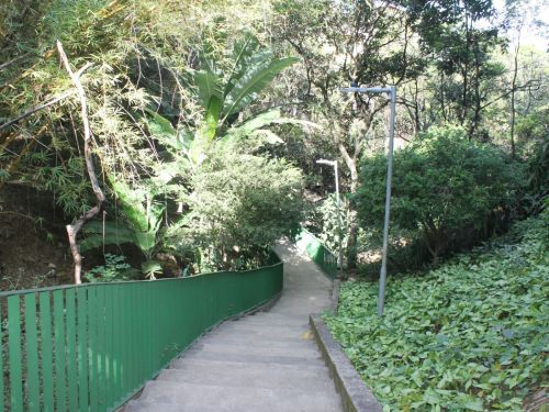 Parque José Lopes dos Reis (Baleares)