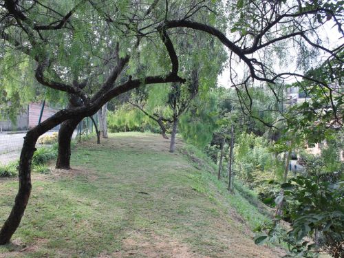 Parque José Lopes dos Reis (Baleares)