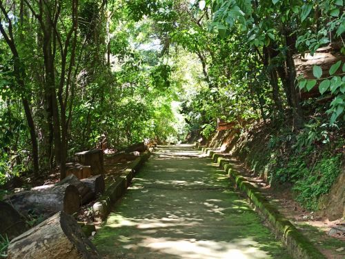Parque Municipal Fazenda Lagoa do Nado