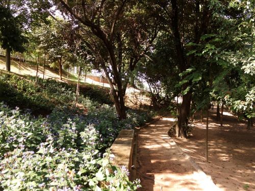 Parque Municipal Mantiqueira
