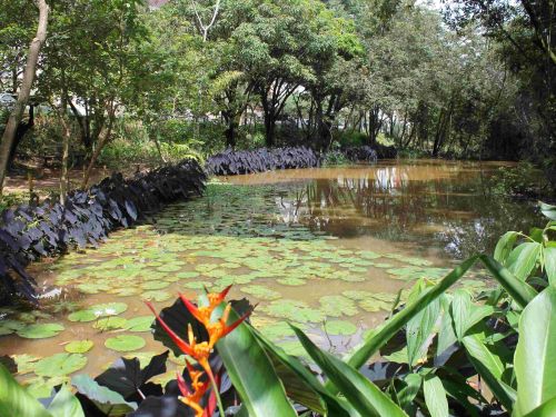 Parque Municipal Ursulina de Andrade Mello