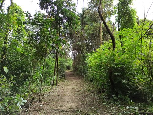 Parque Municipal Ursulina de Andrade Mello