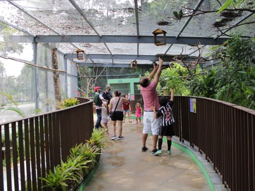 Recinto de Imersão de Aves do Zoológico de Belo Horizonte
