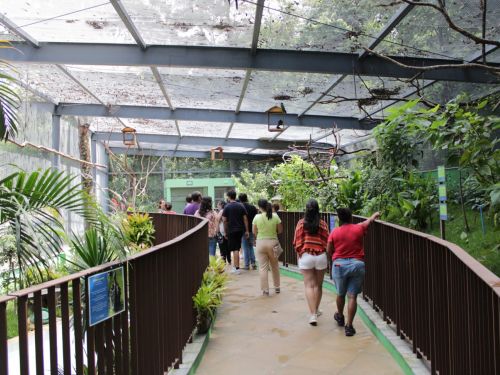 Recinto de Imersão de Aves do Zoológico de Belo Horizonte