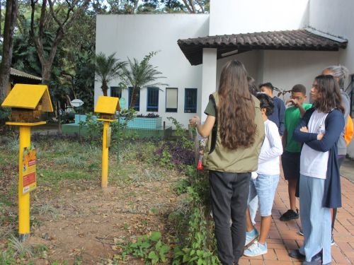 Meliponário do Zoológico de Belo Horizonte