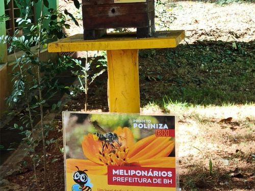 Meliponário do Zoológico de Belo Horizonte