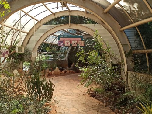 Jardim Botânico de Belo Horizonte
