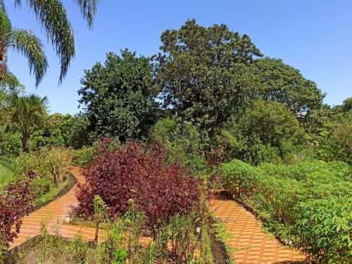 Jardim Botânico de Belo Horizonte