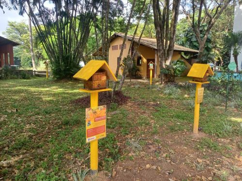 Meliponário do Zoológico de Belo Horizonte