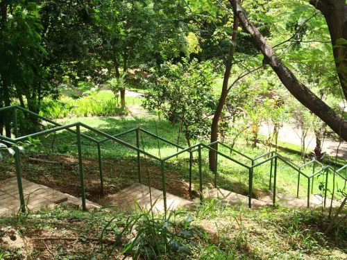 Parque Ecológico Renato Azeredo