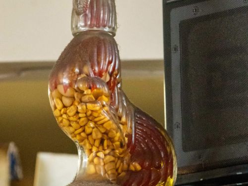 Imagem do bar do Júnior