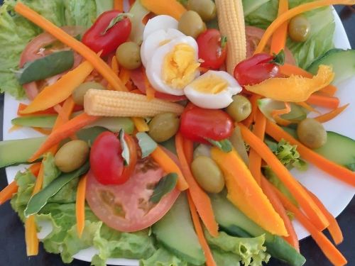 refeicoes do estabelecimento