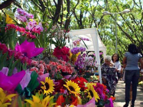 Feira de Plantas e Flores Naturais | Portal Oficial de Belo Horizonte
