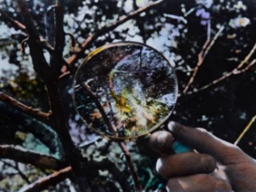 Exposição Vento Sul - Foto em Pauta