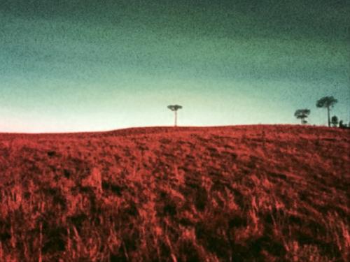 Exposição Vento Sul - Foto em Pauta