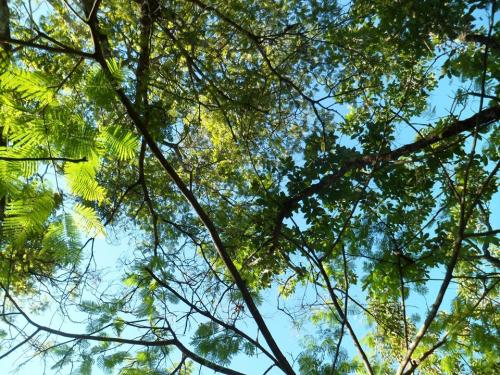 Programação Março/2020 - UNIPAZ