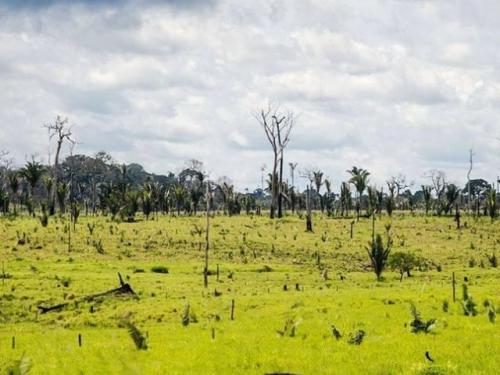 Gestão de áreas protegidas