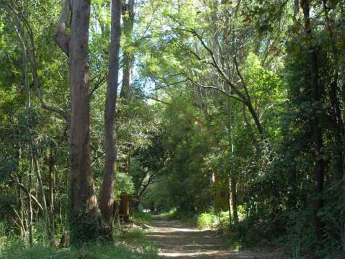 Estação Ecológica UFMG