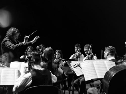 Live: 20 Anos da Orquestra Ouro Preto