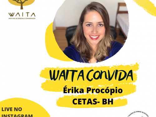 Live: Tráfico de animais silvestres