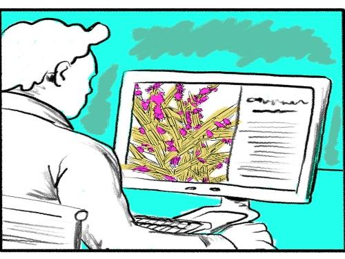 Série: “Virtual Adentro” - Memorial Vale