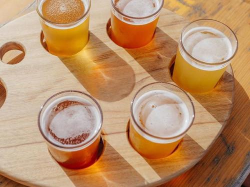 Festival FICC em casa