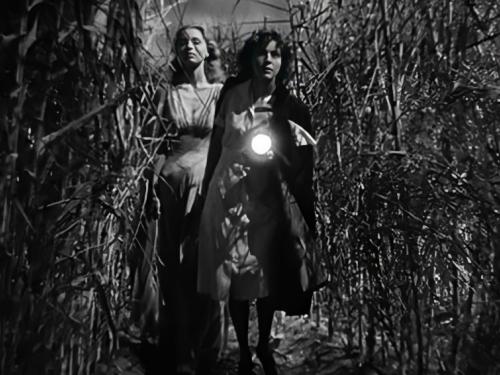 Projeto CineCentro | CineClássico Quarentena - Mês Outubro