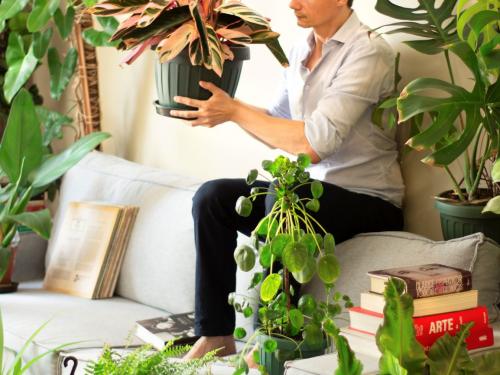 Peça literária "NA SALA COM CLARICE"