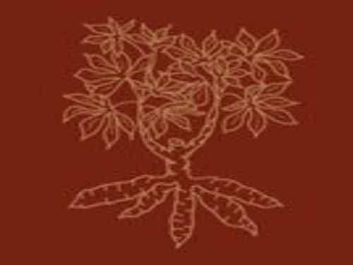 2ª Mostra de Cinema dos Quilombos