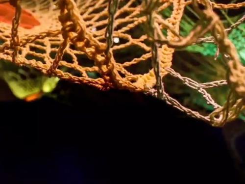 Diálogos sobre educação, arte e cultura: Pedagogias Decoloniais - Memorial Vale