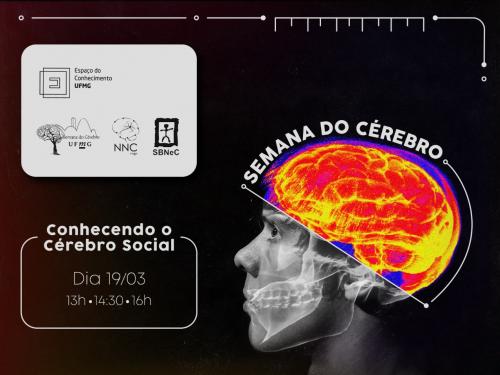 Semana do Cérebro: ‘Conhecendo o Cérebro Social’ - Espaço do Conhecimento UFMG