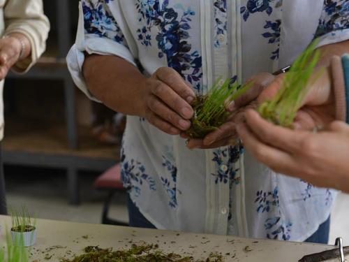 Divulgação Centros Culturais 
