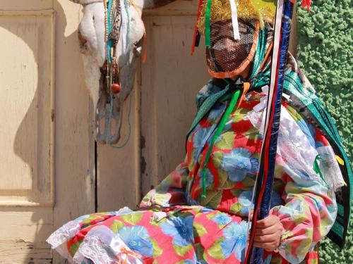 Imagem de divulgação da apresentação Boi Luzeiro Embaixada do Sol 